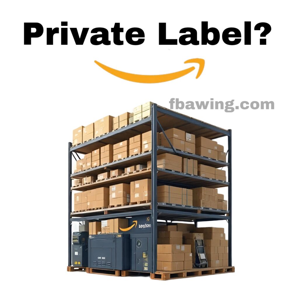 Is Amazon Private Label Profitable in 2025? Real Data & Expert Insights